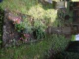 image number 8